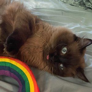 Meet your Posher, RK